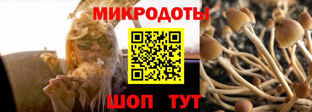 Псилоцибиновые грибы Cubensis Аша