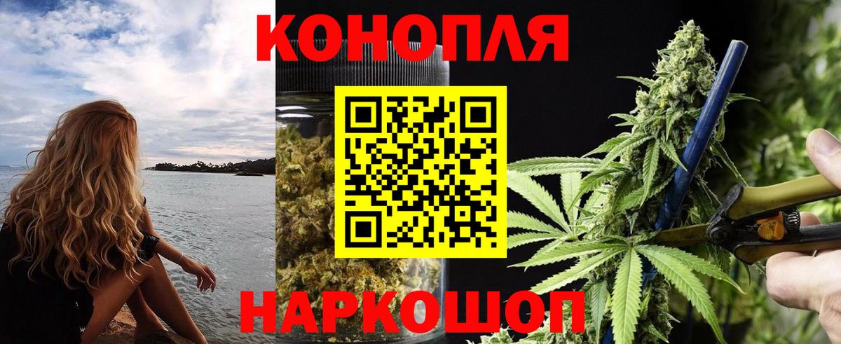 Бошки марихуана гибрид Аша